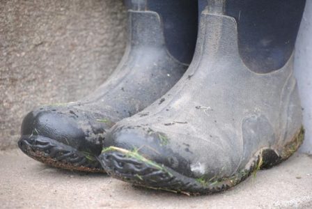 7 Simple Things Every Homesteader Needs Image